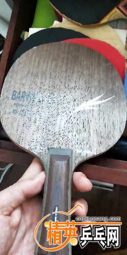 IMG20180815104242.jpg