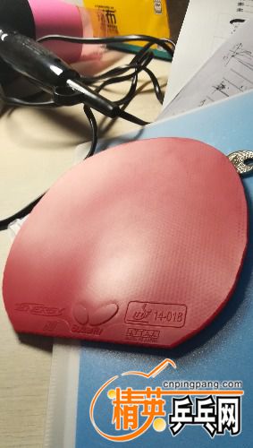 IMG_20180903_232841.jpg