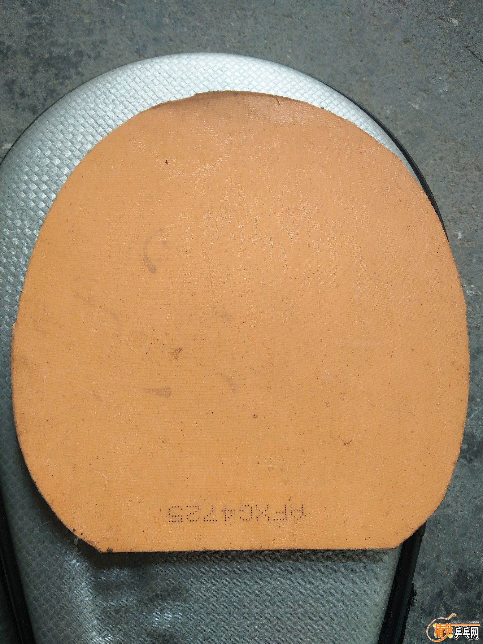IMG20180907082348.jpg