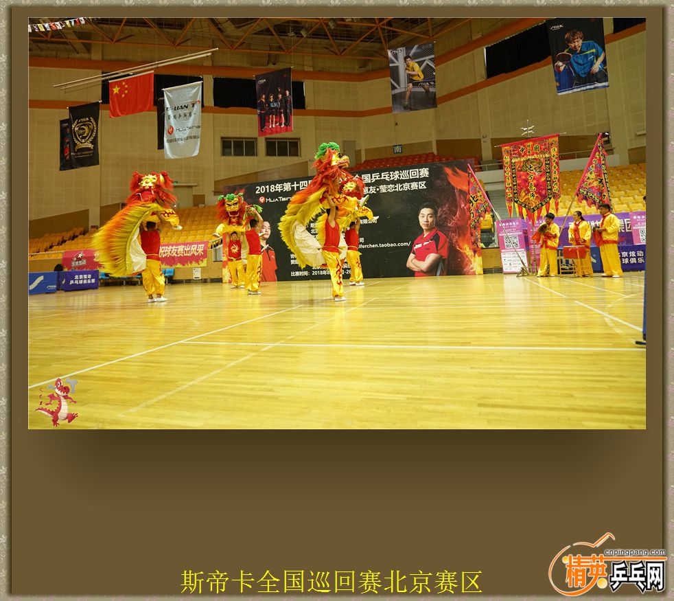 DSC00528.jpg