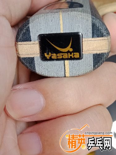 IMG20180909083737.jpg