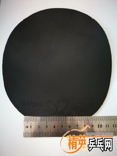 IMG_20180910_081009.jpg