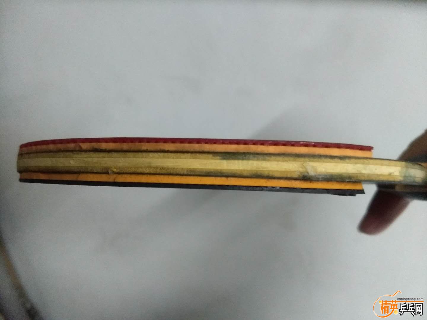 webwxgetmsgimg (1).jpg