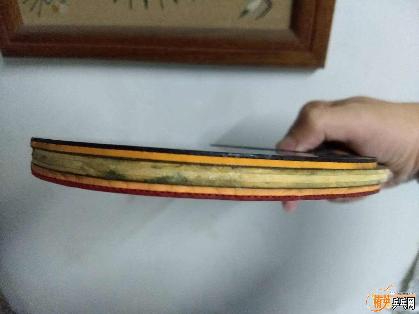 webwxgetmsgimg (3).jpg