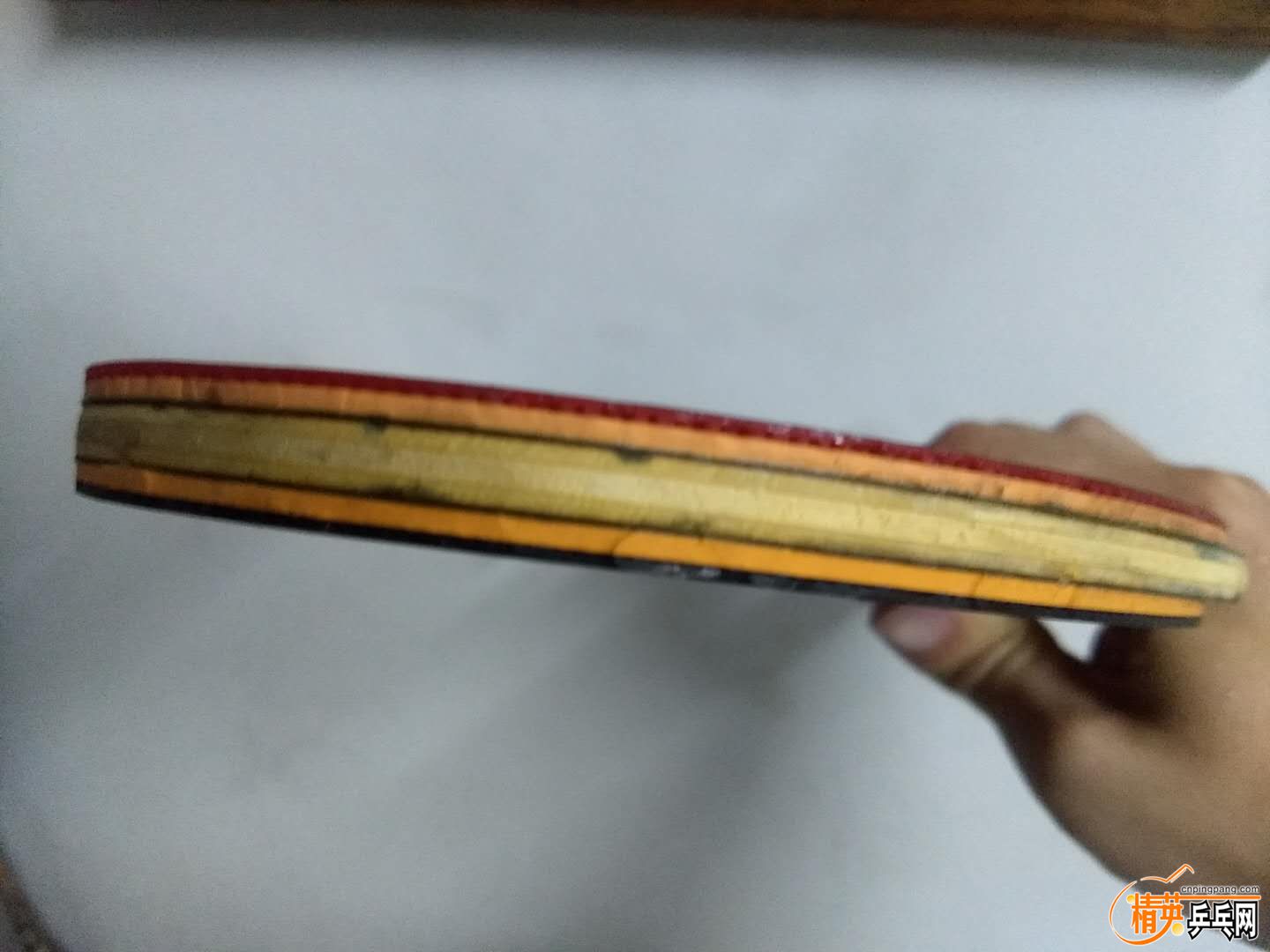 webwxgetmsgimg (6).jpg