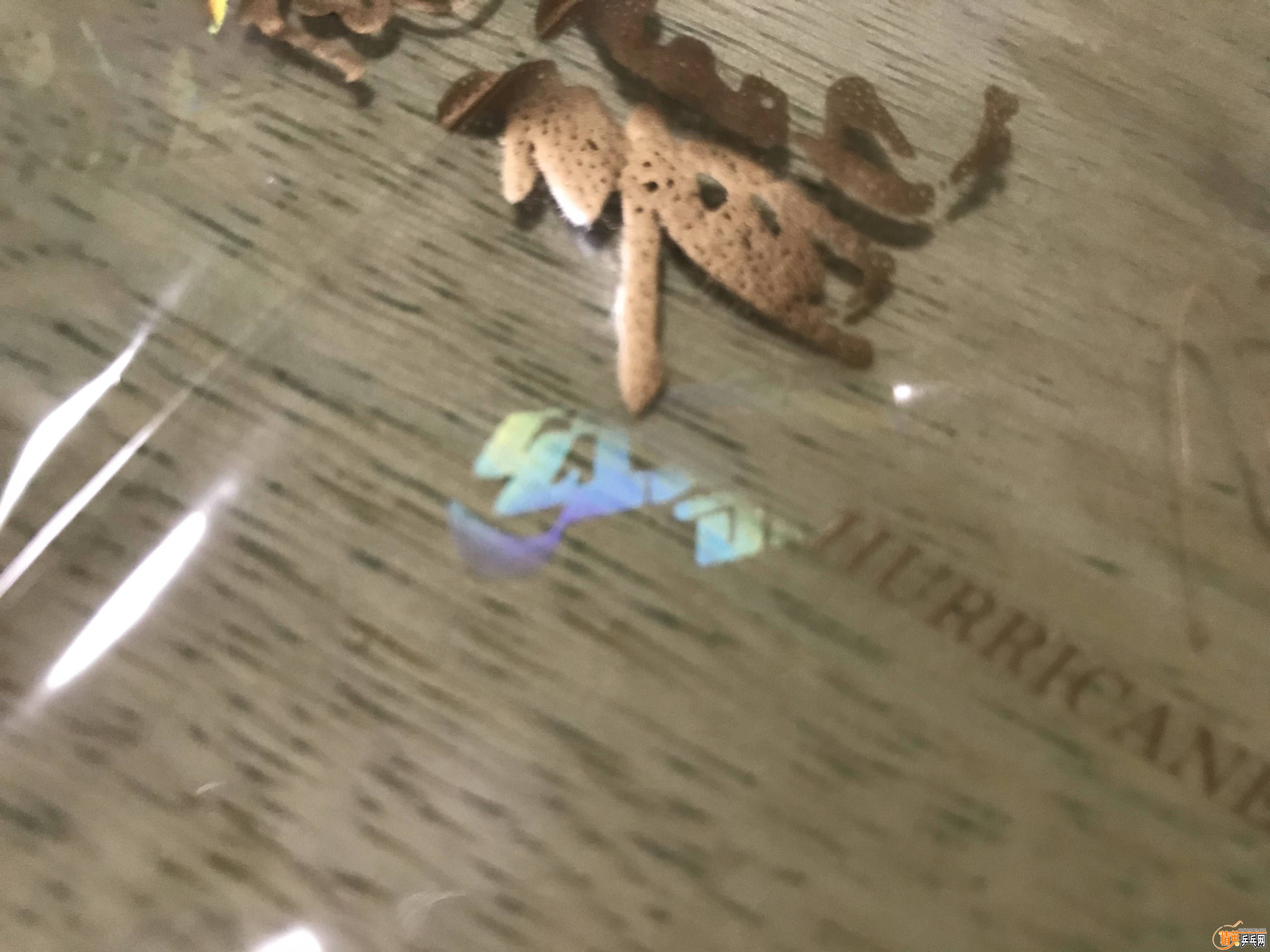 20180918_IMG_3117.JPG