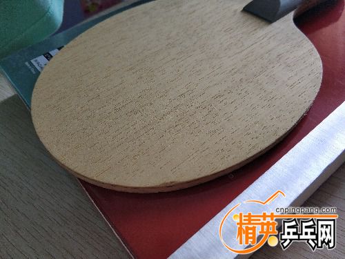 IMG_20180917_125134.jpg