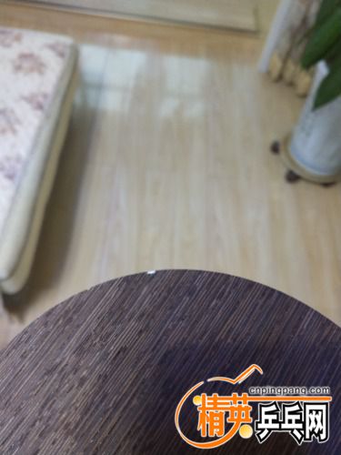 IMG_20180919_064932.jpg