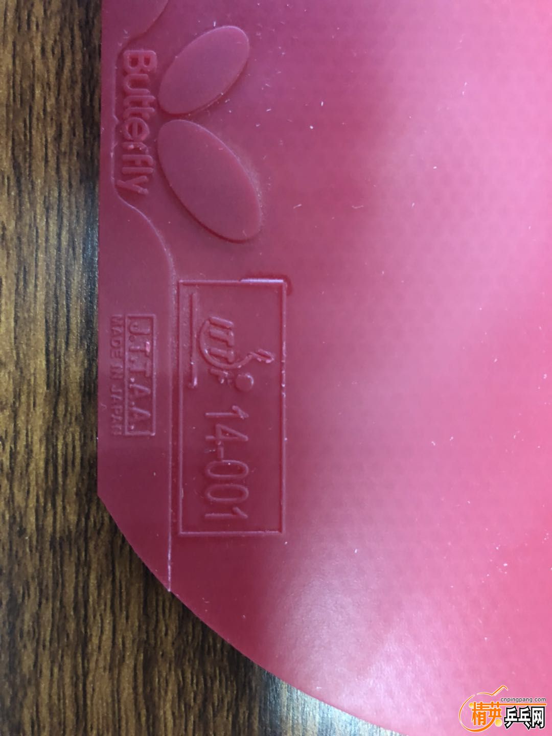 313735545430330312.jpg