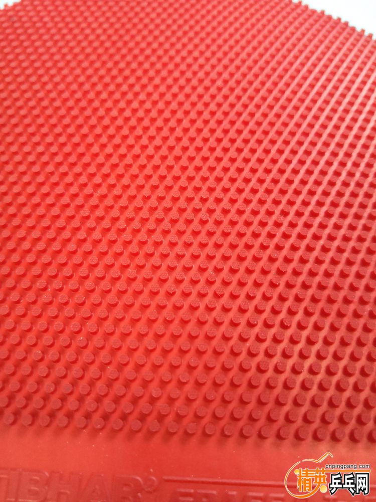 IMG_20181009_121044.jpg
