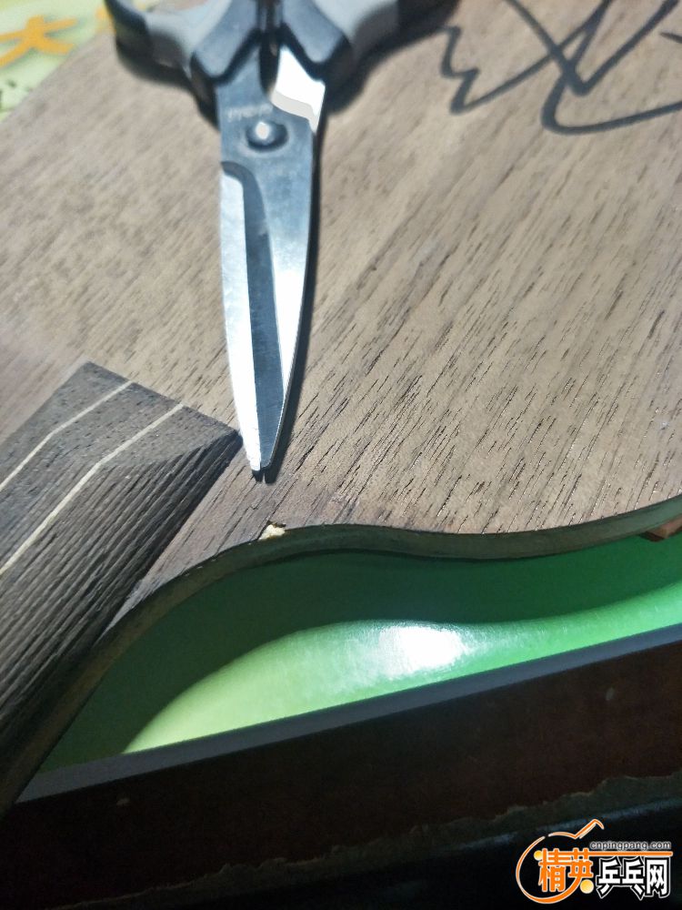 IMG20181019220014.jpg