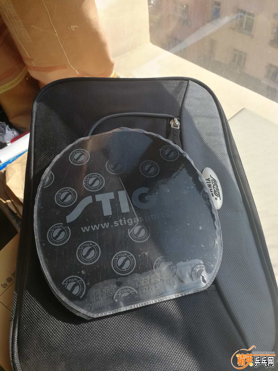 2029259851.jpg
