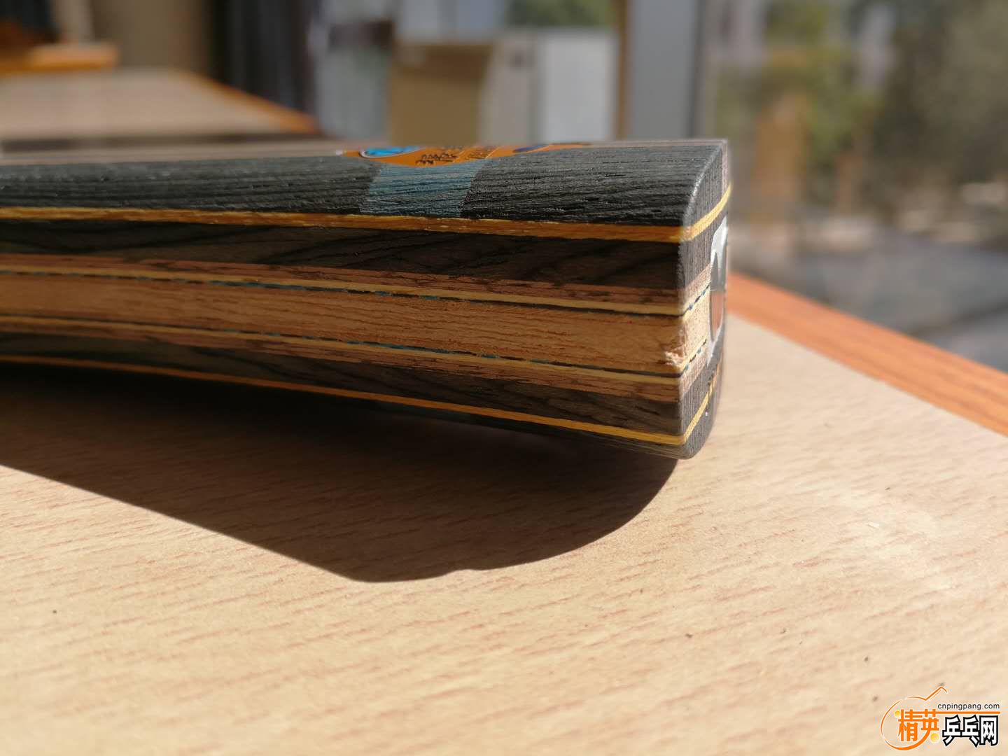10564421.jpg