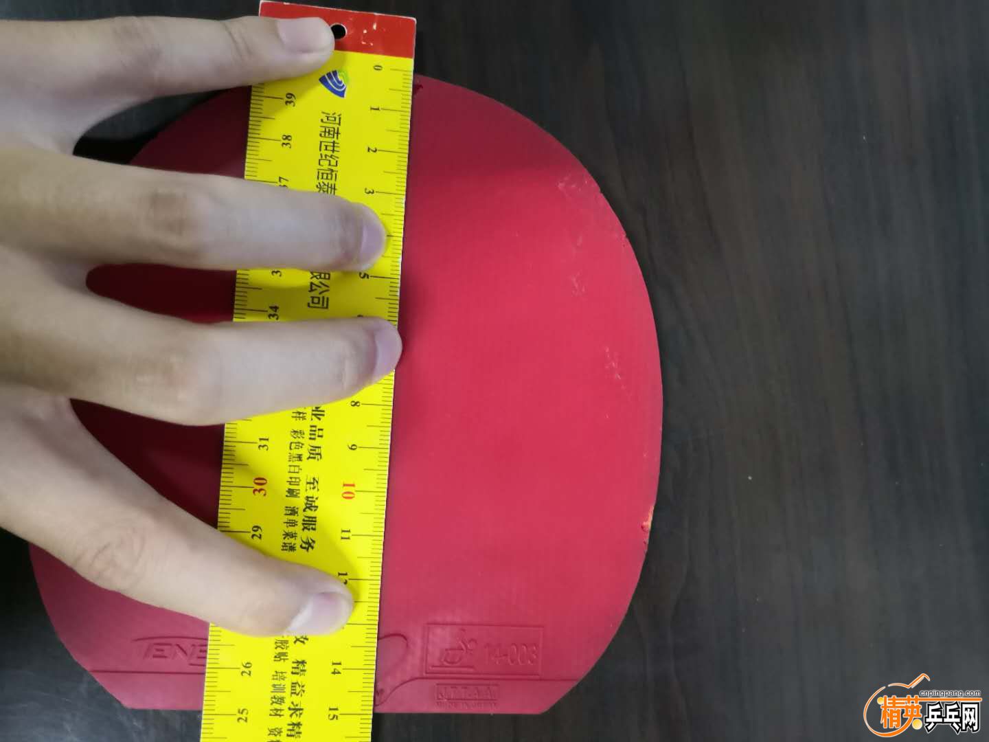 135828397546434102.jpg