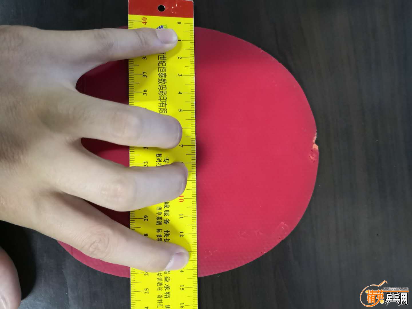 173380564728207420.jpg