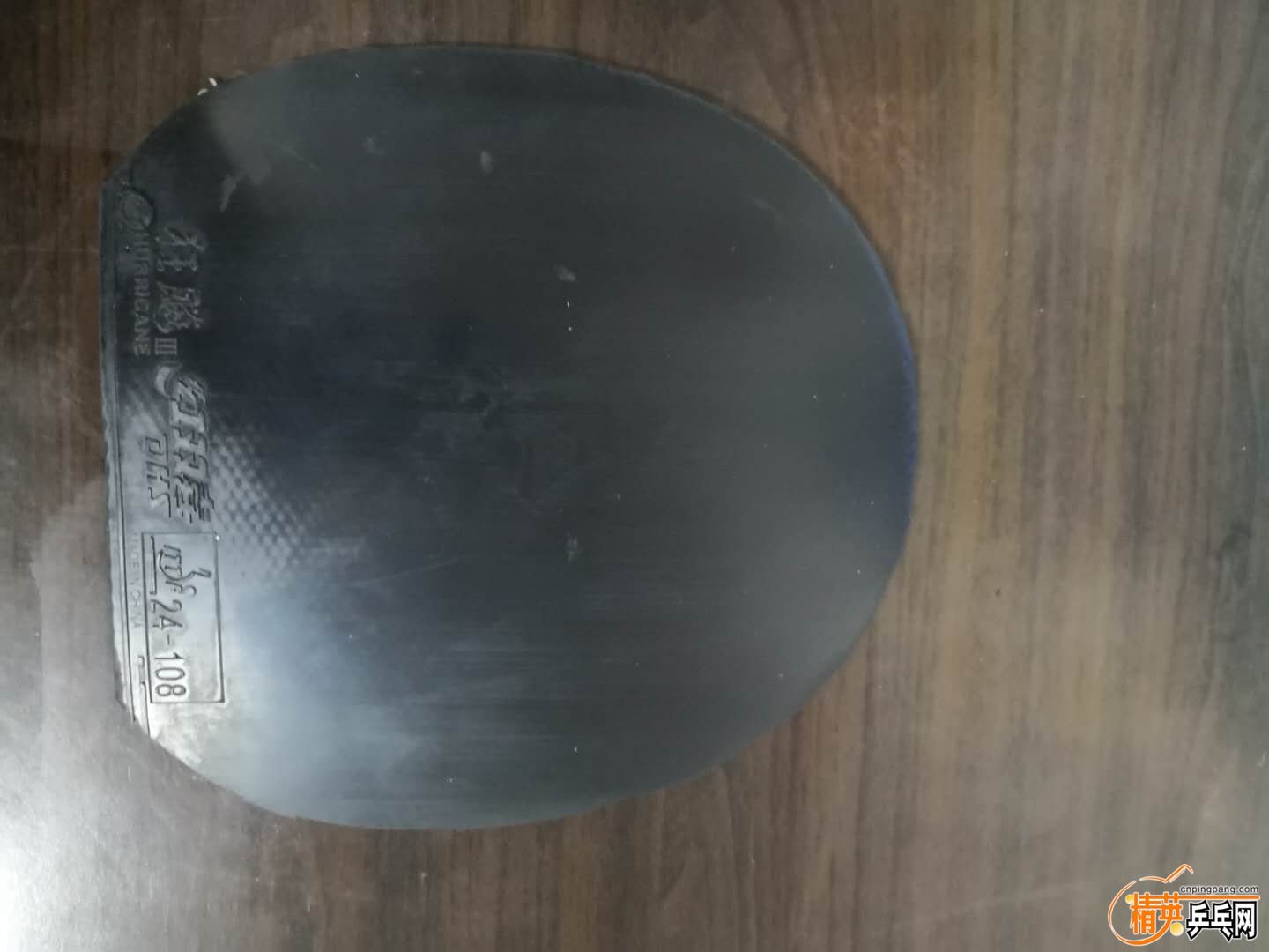 170300839354925040.jpg