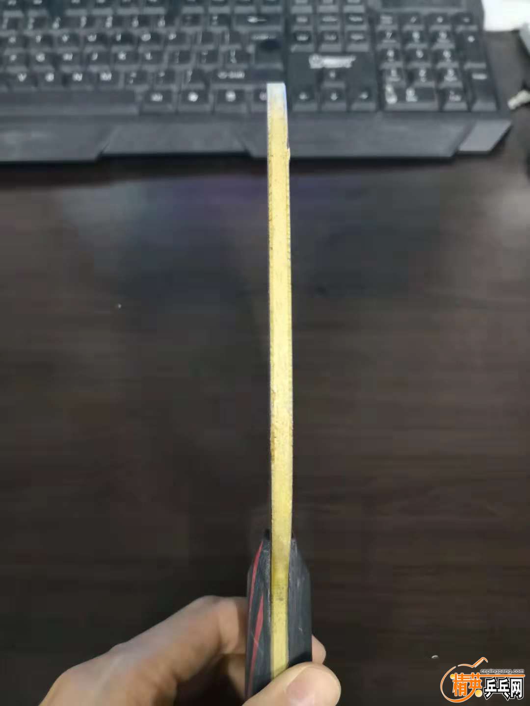 517262694095519246.jpg