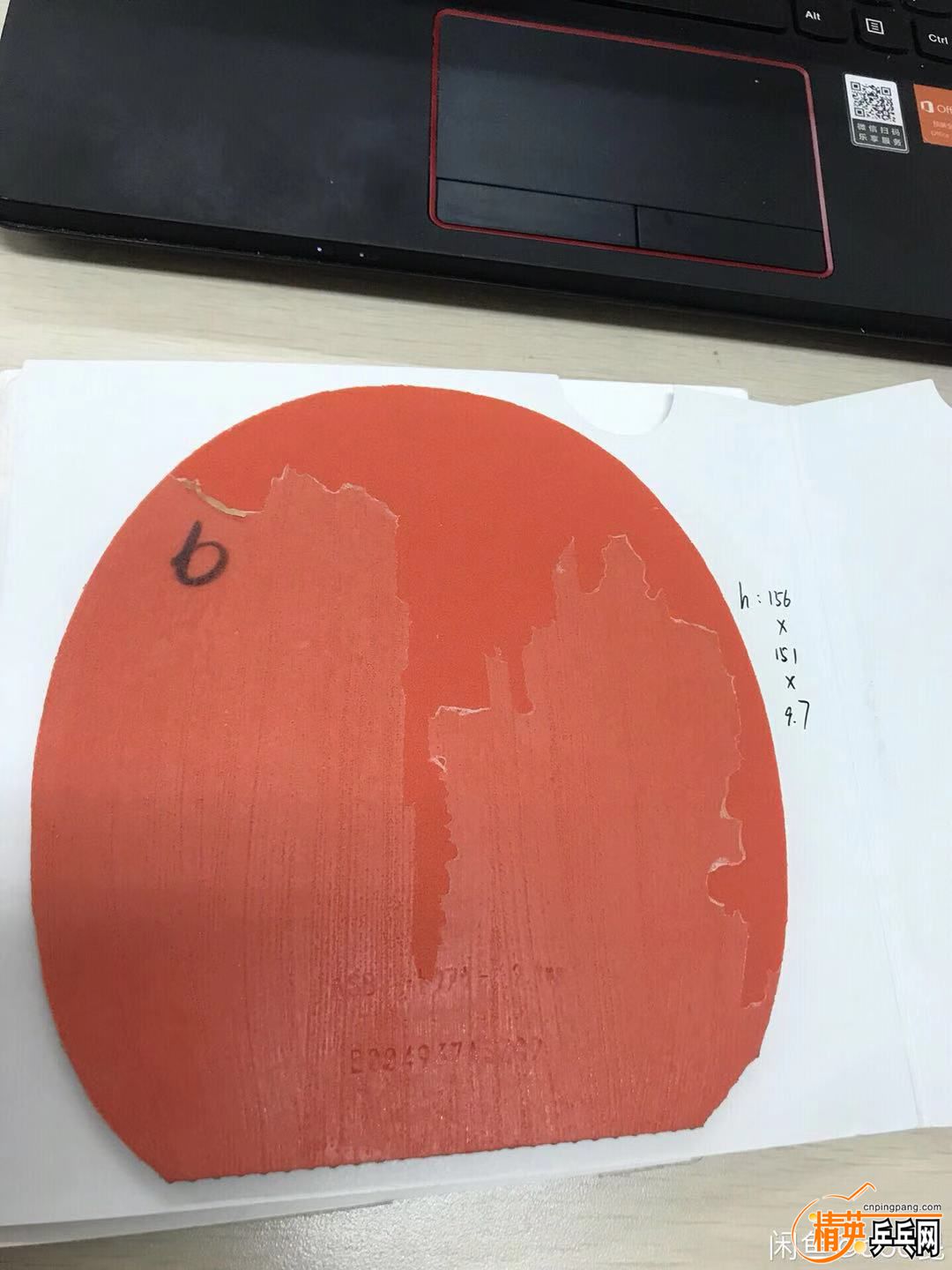 459628136085023107.jpg