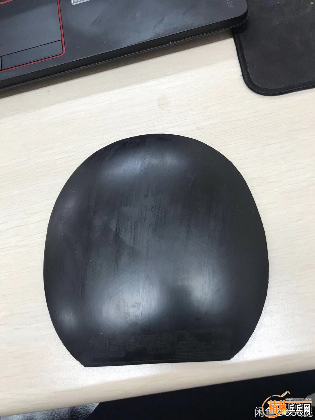 510168866338149373.jpg
