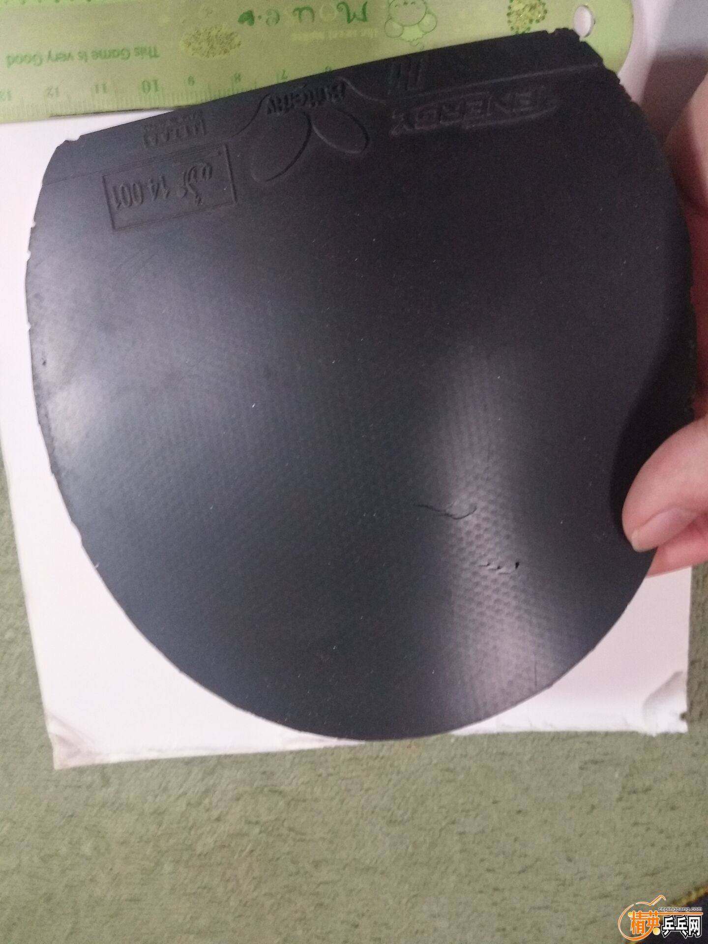 0B22638C83F5EBCCEE70715F6E9B0A97.jpg