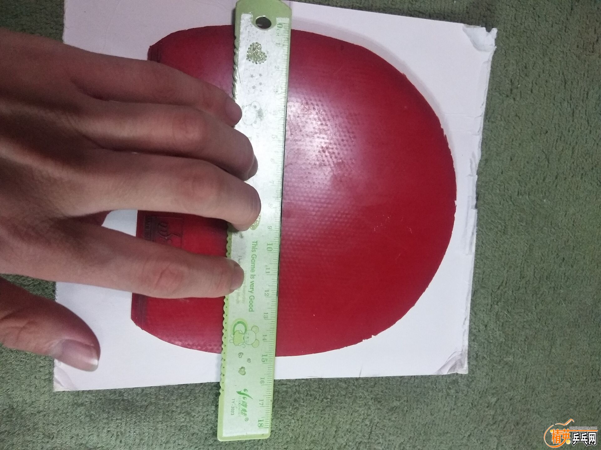 975F70D372B6E8AB642B0A646BD91ED7.jpg