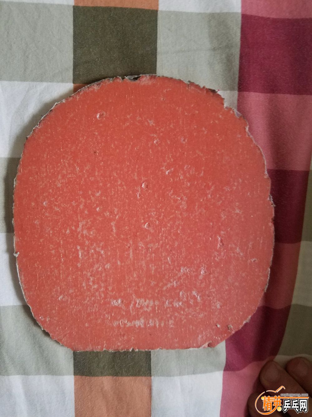 20181105_102605.jpg