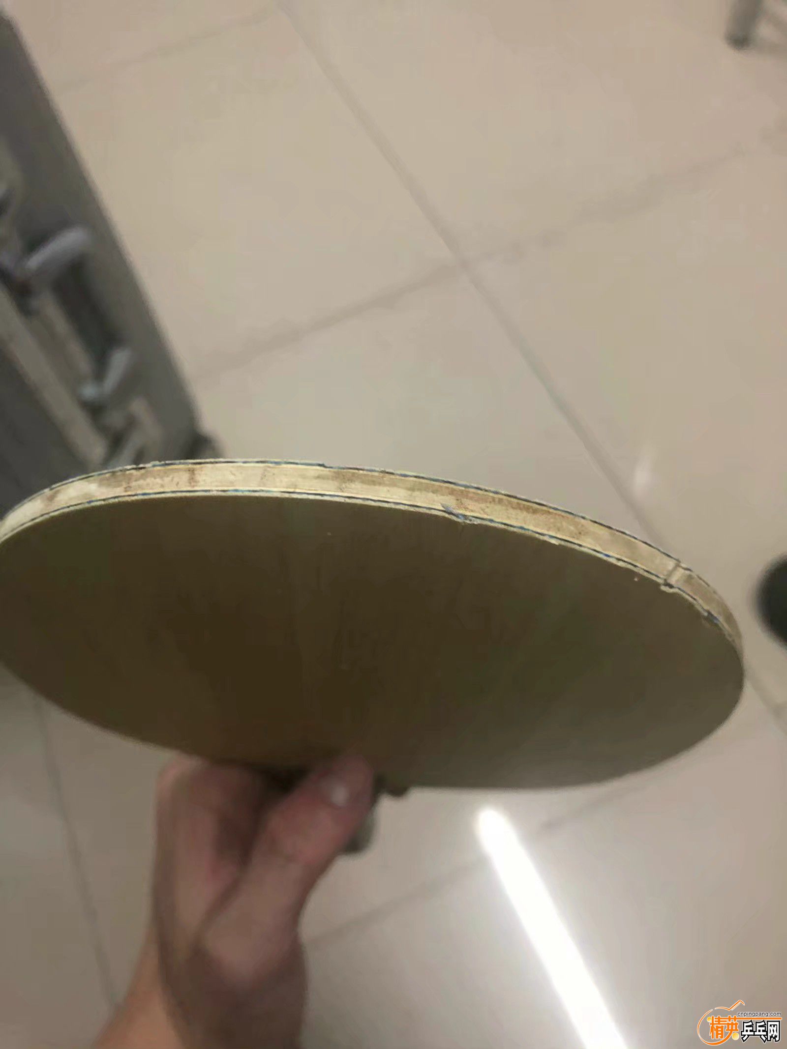 1541494264696.jpeg