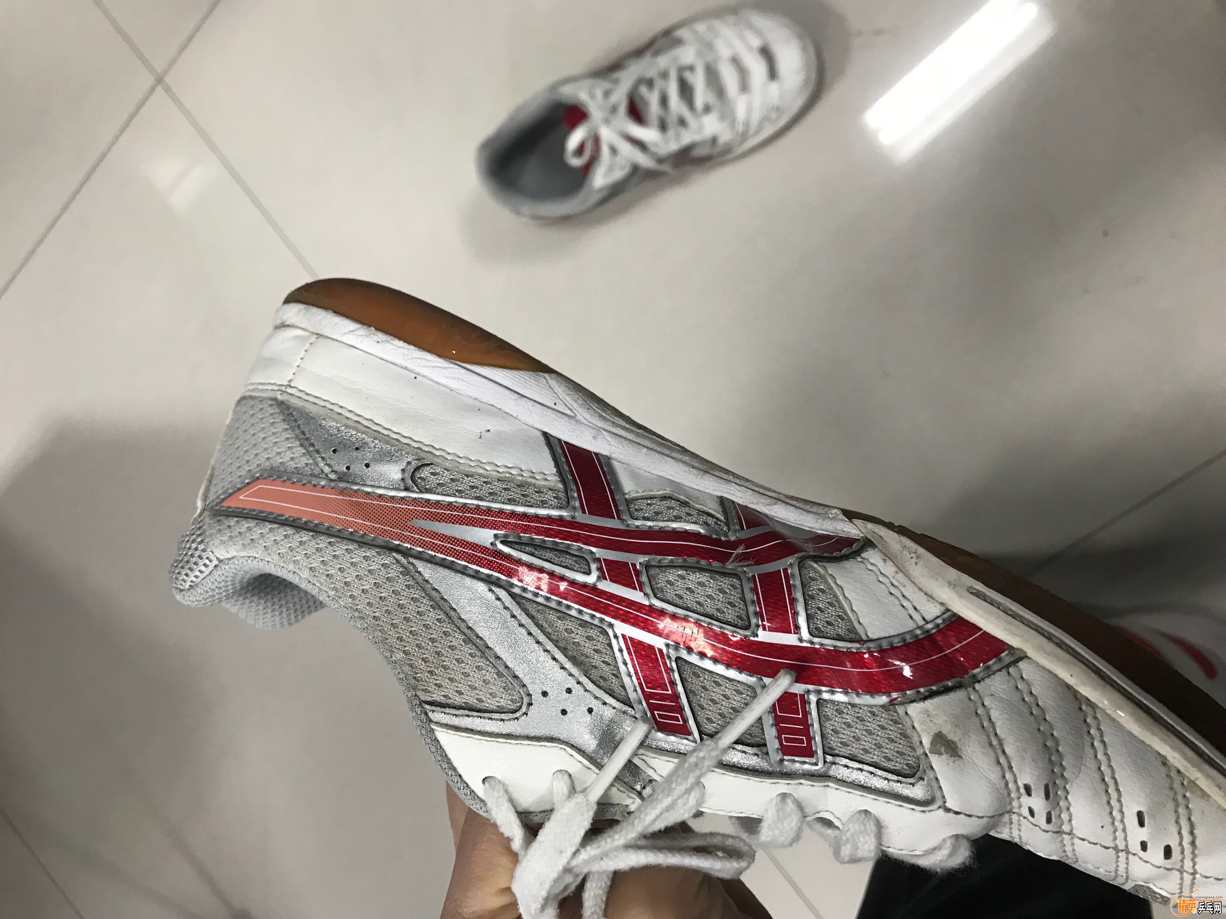 QQͼƬ20181107081714.jpg