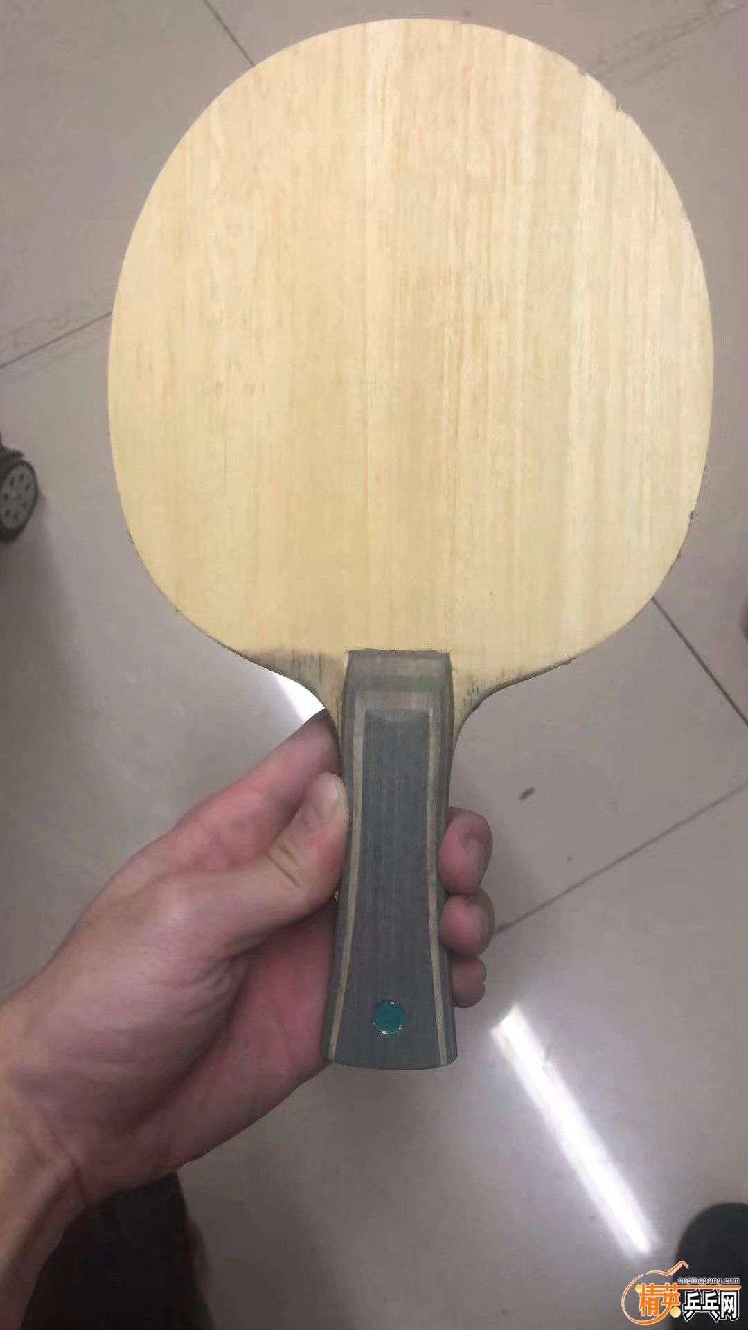1541494259262.jpeg