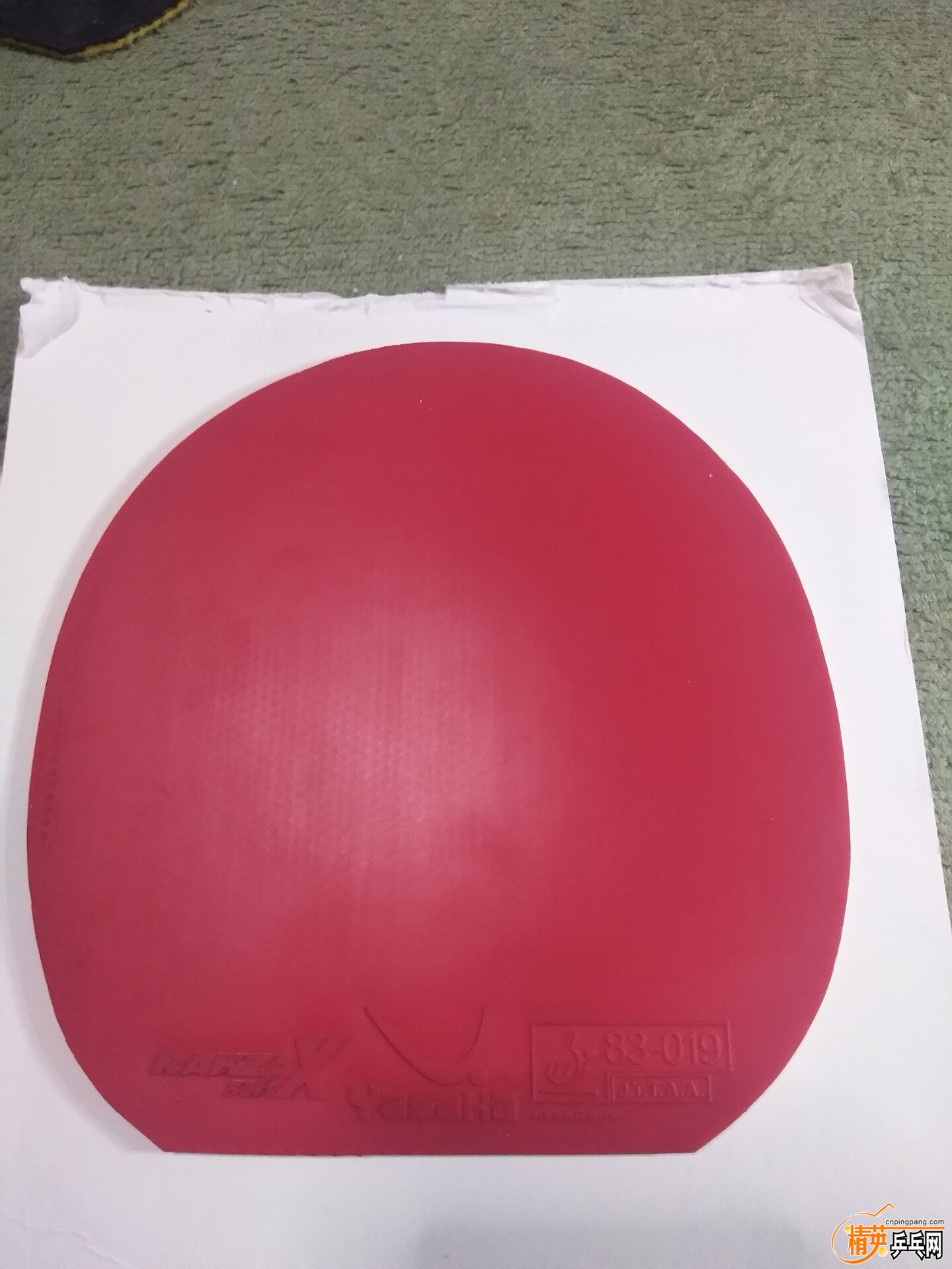 6DB2531B726B6AA170E5E72458C8D819.jpg
