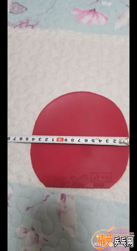 1541785014213.jpg