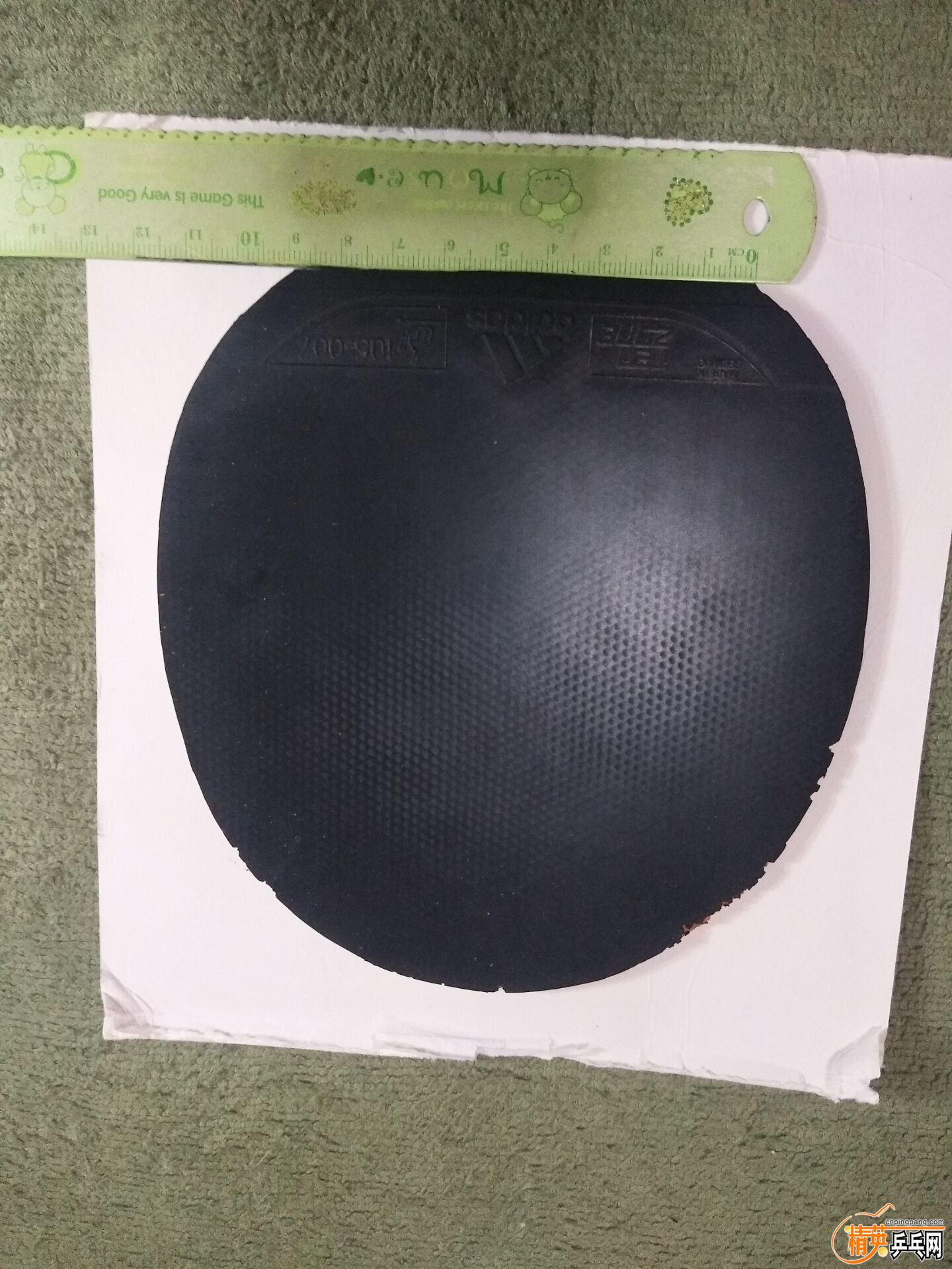 C3094EBD30C94E02E339591E115DEDF4.jpg