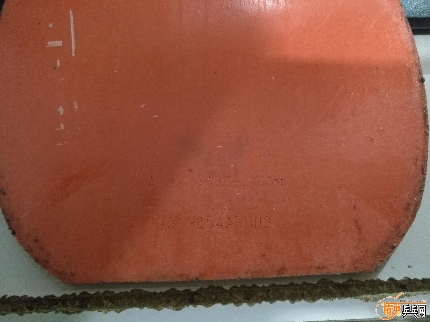 14972136845231350.jpg