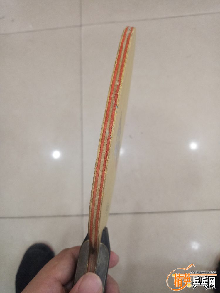 IMG20181117125426.jpg