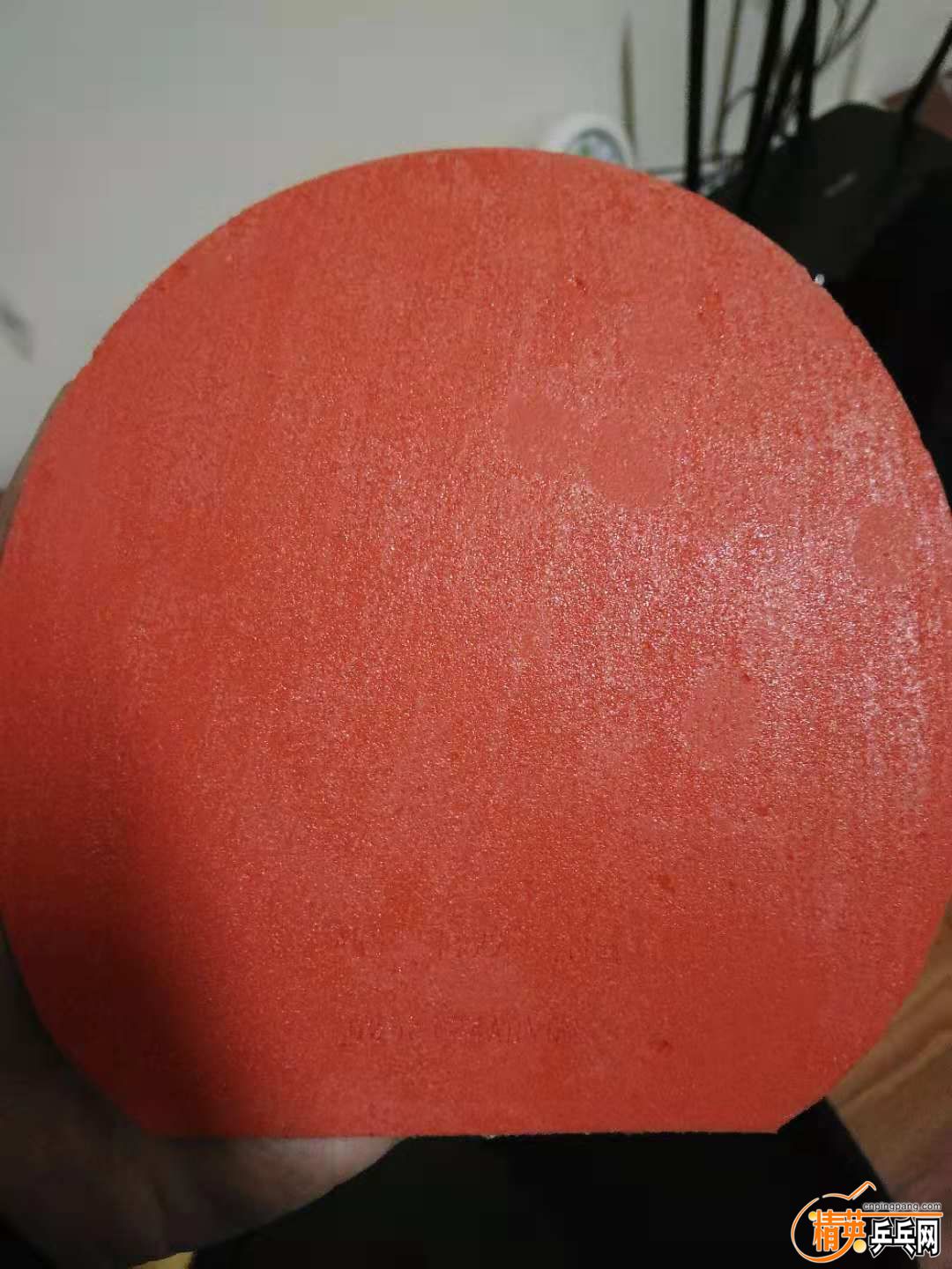 t051.jpg