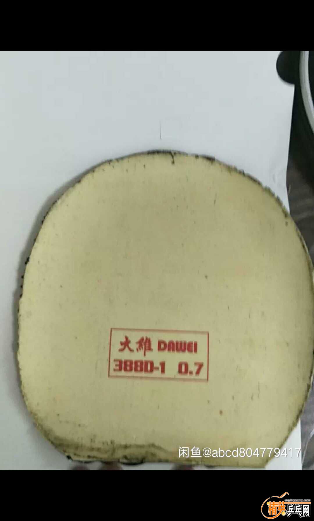 1078334529.jpg