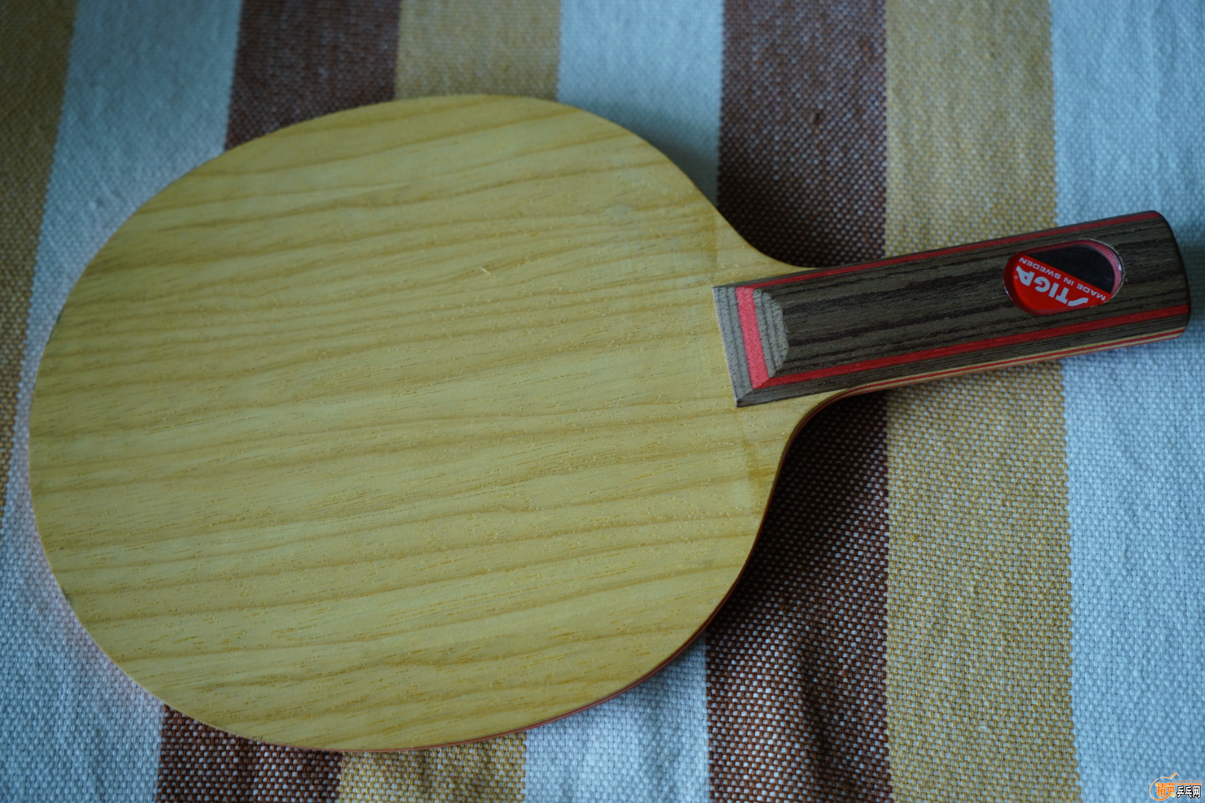 DSC00800.JPG