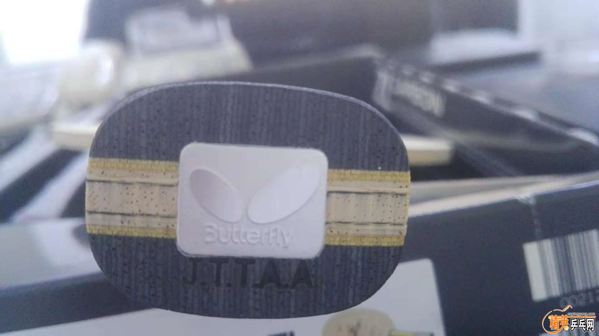 �Ͽ�o�� INNER ZLC-3.jpg