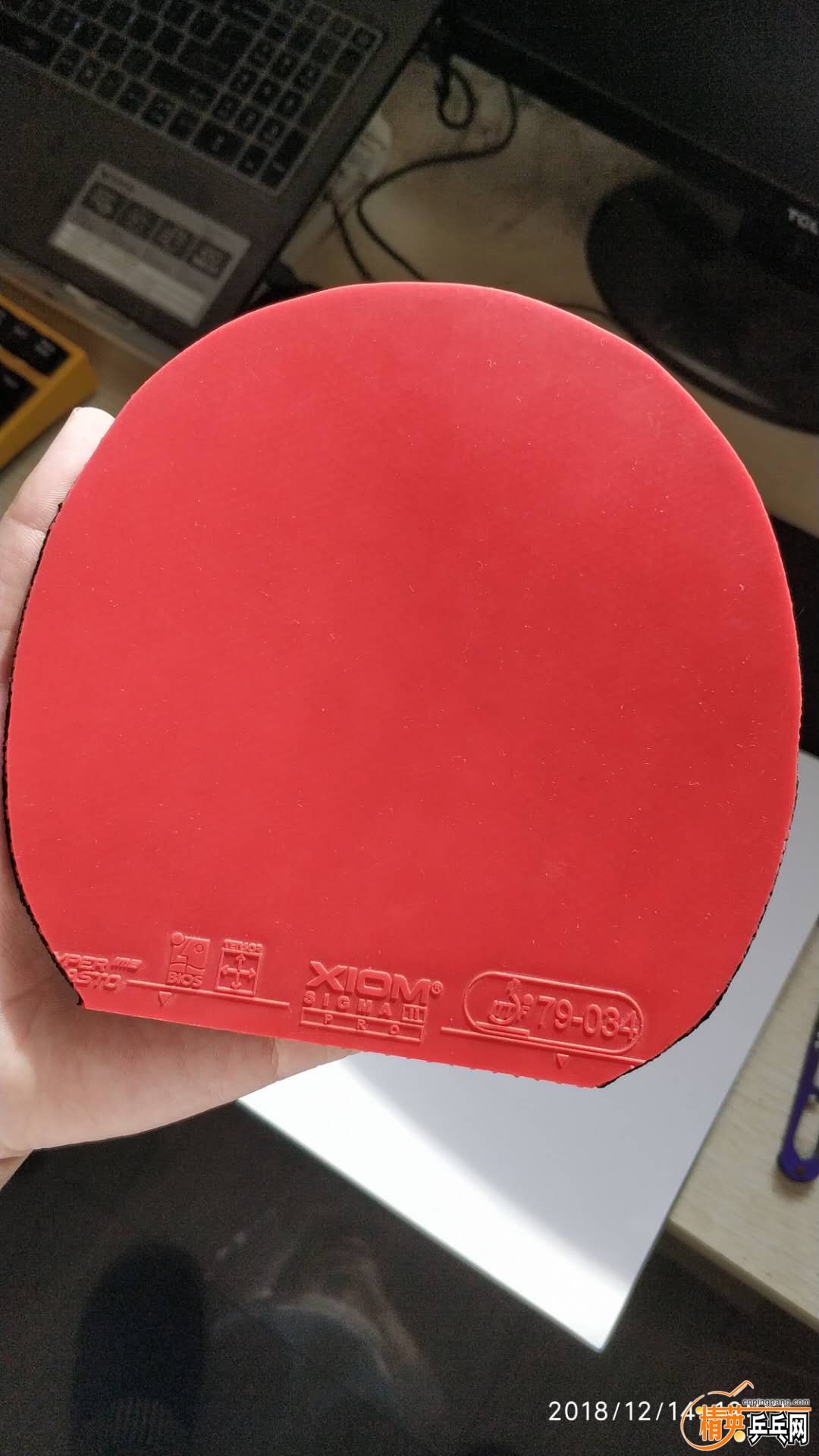 525919347433415716.jpg