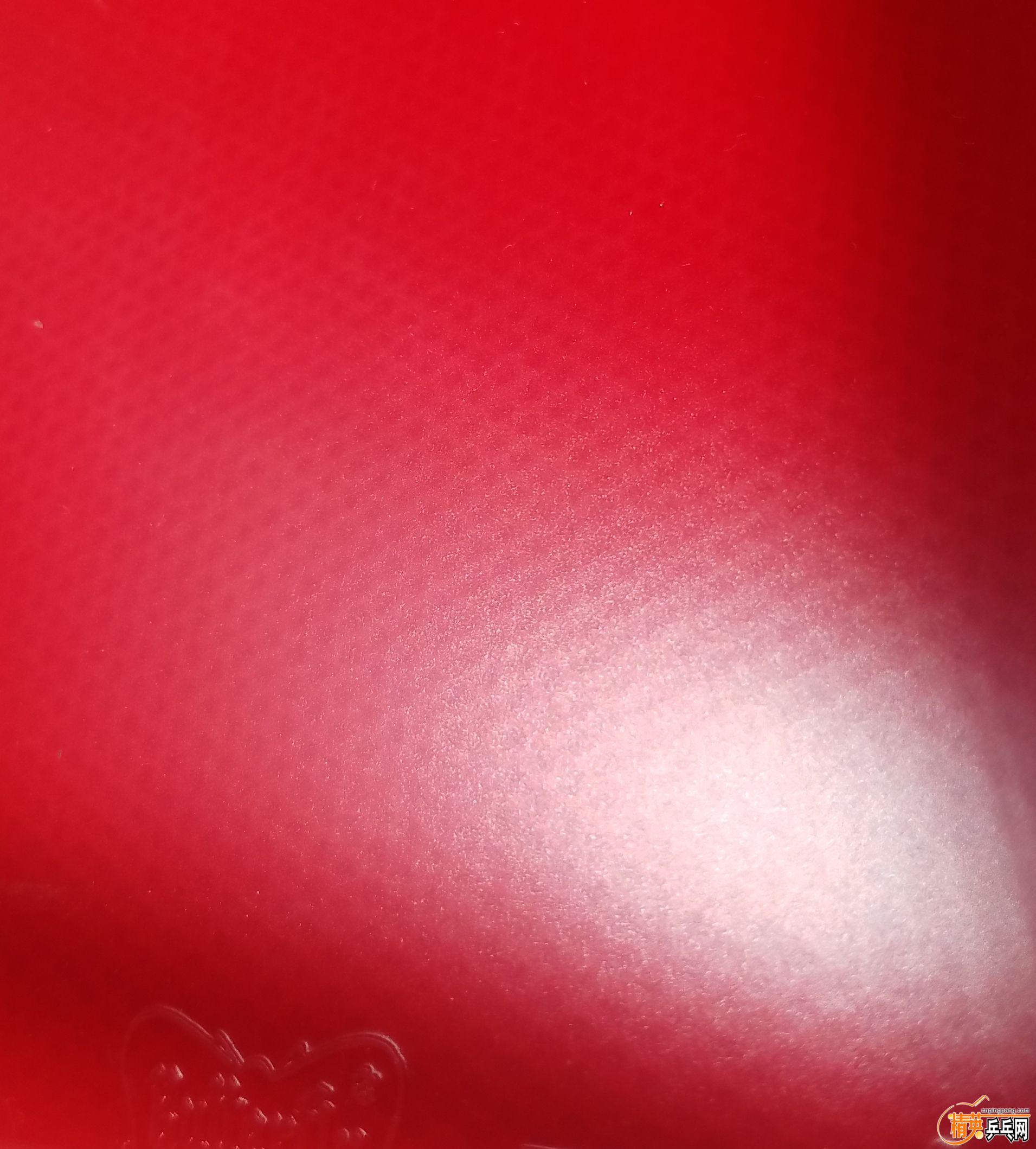 20181215_103042.jpg
