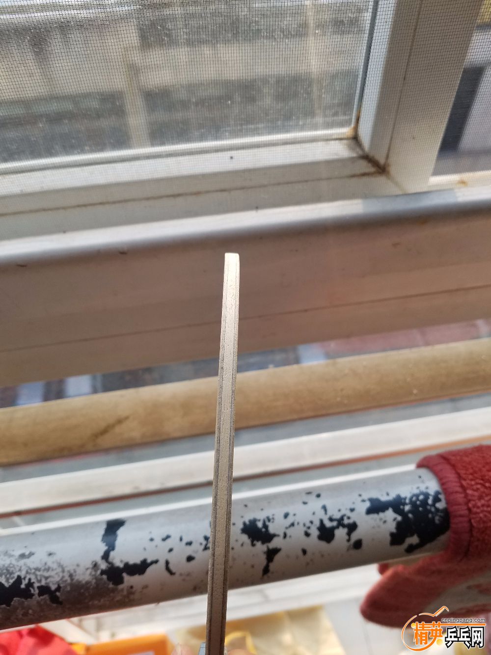 20181217_091812.jpg