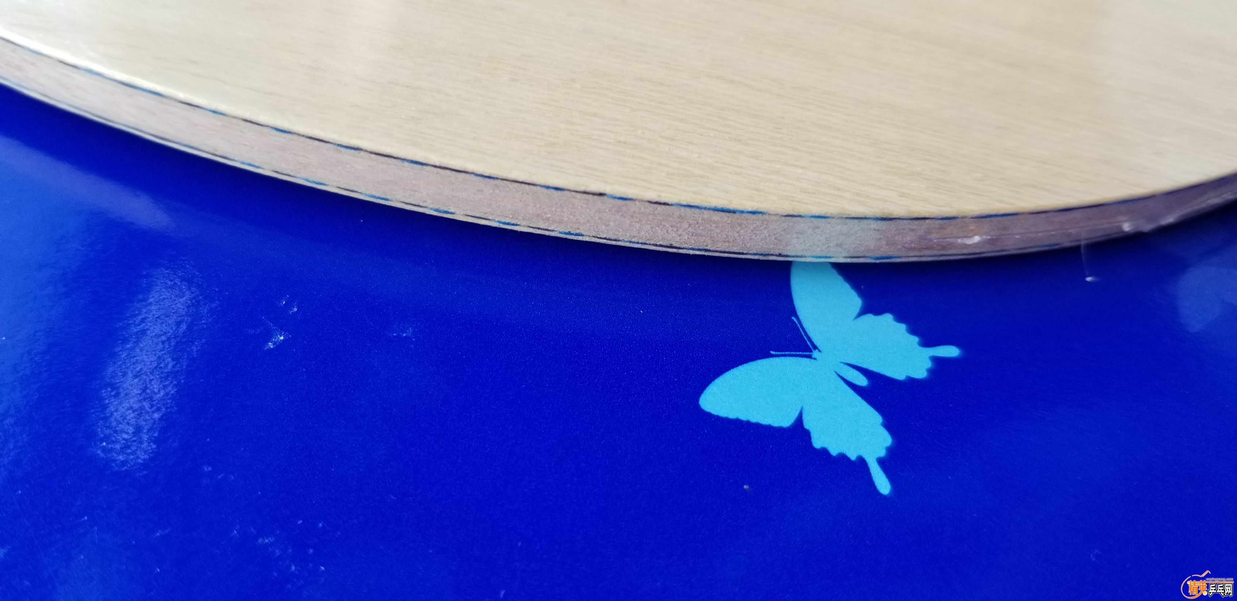 20181220_130258.jpg
