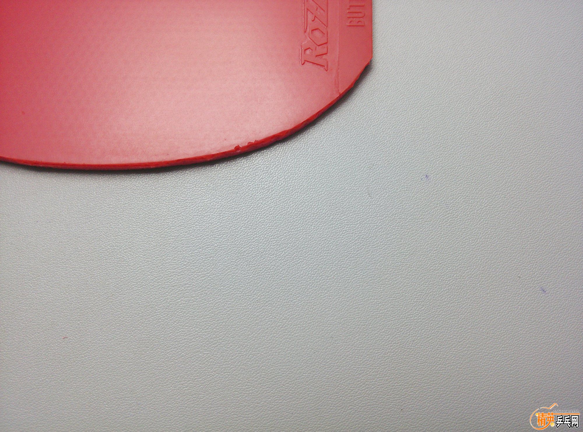 dsc_44175.jpg