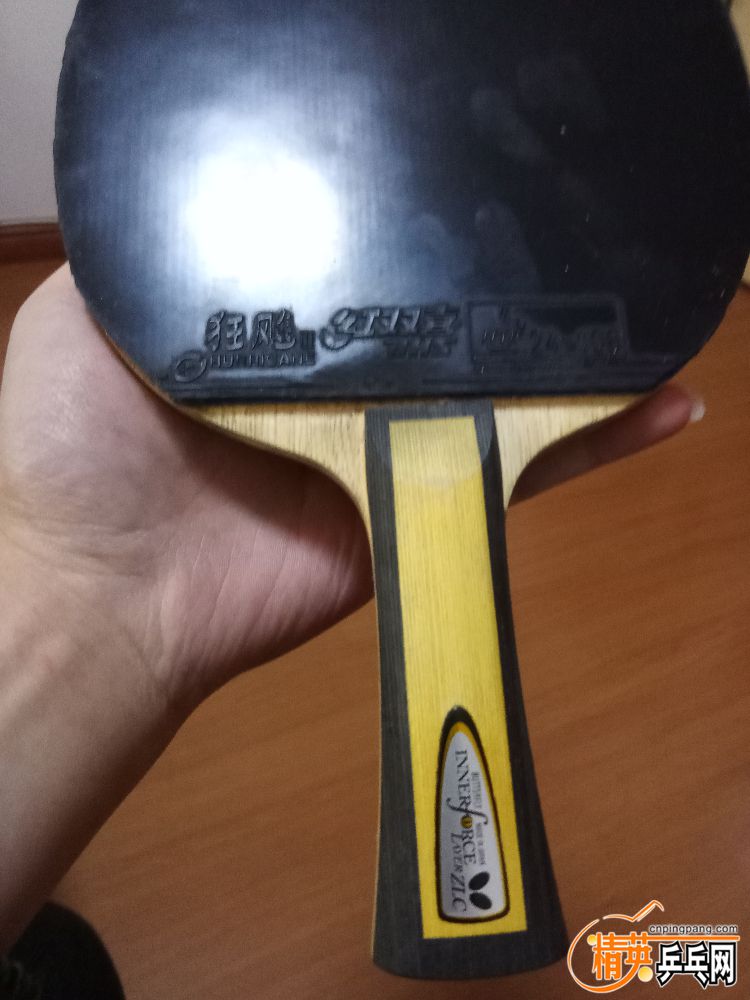 P81229-124758.jpg