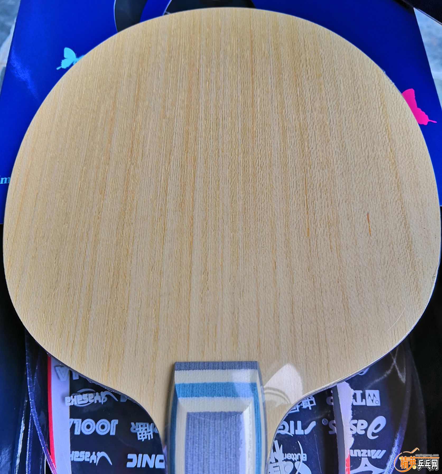 IMG_20181223_155206.jpg
