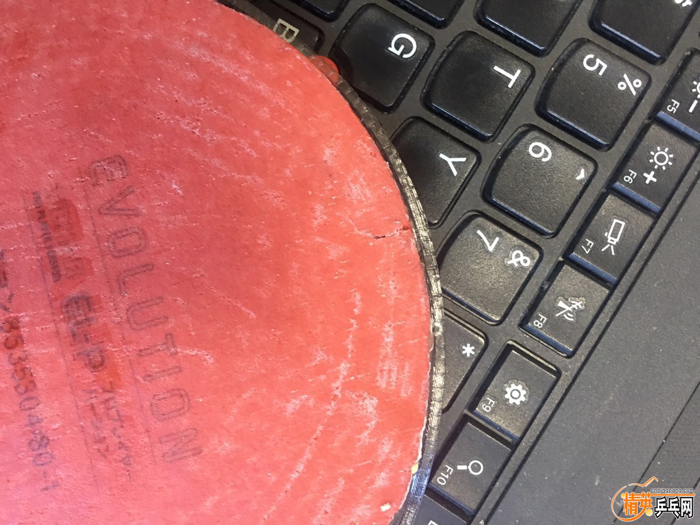 ELP��ɫ ����.jpg