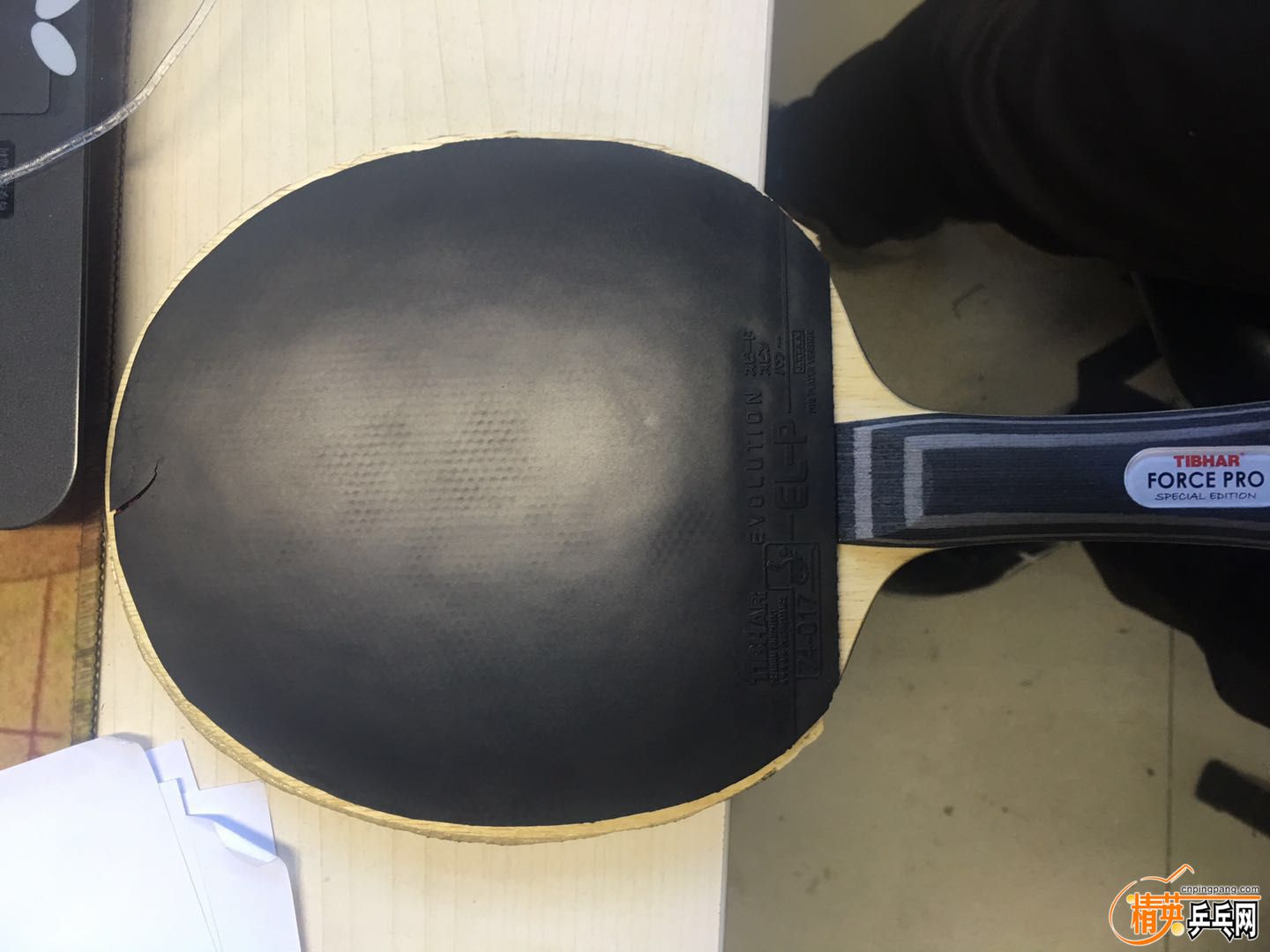 ELP��ɫ ����1.jpg