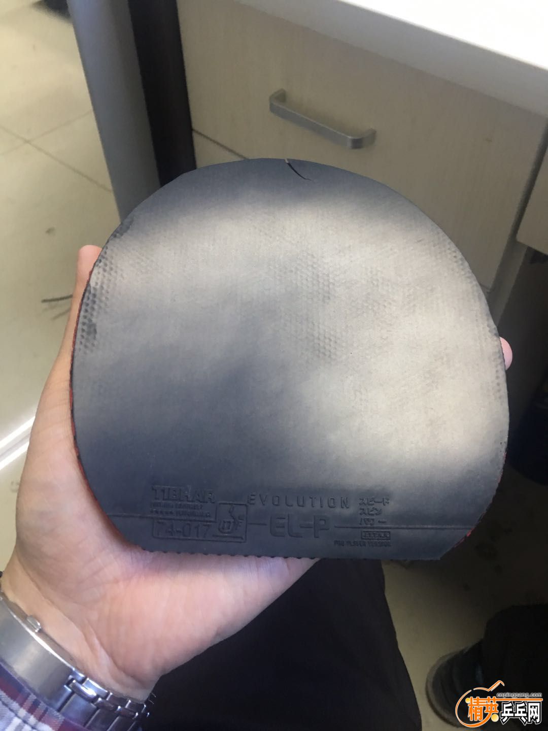 ELP��ɫ ����2.jpg