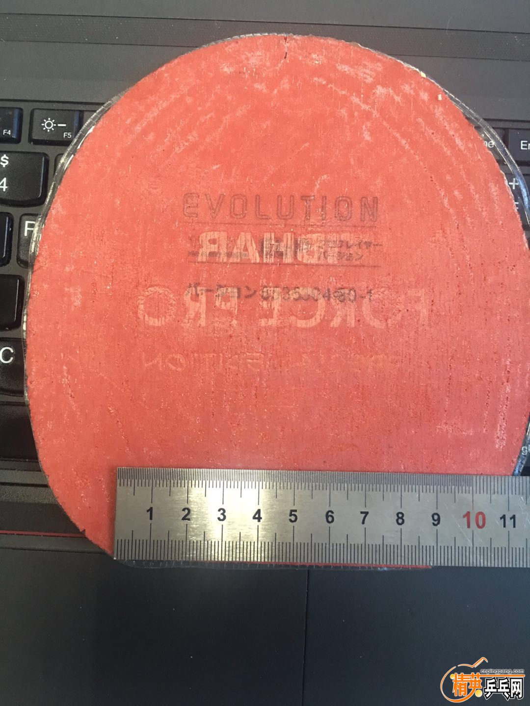 ELP��ɫ ��8.9.jpg