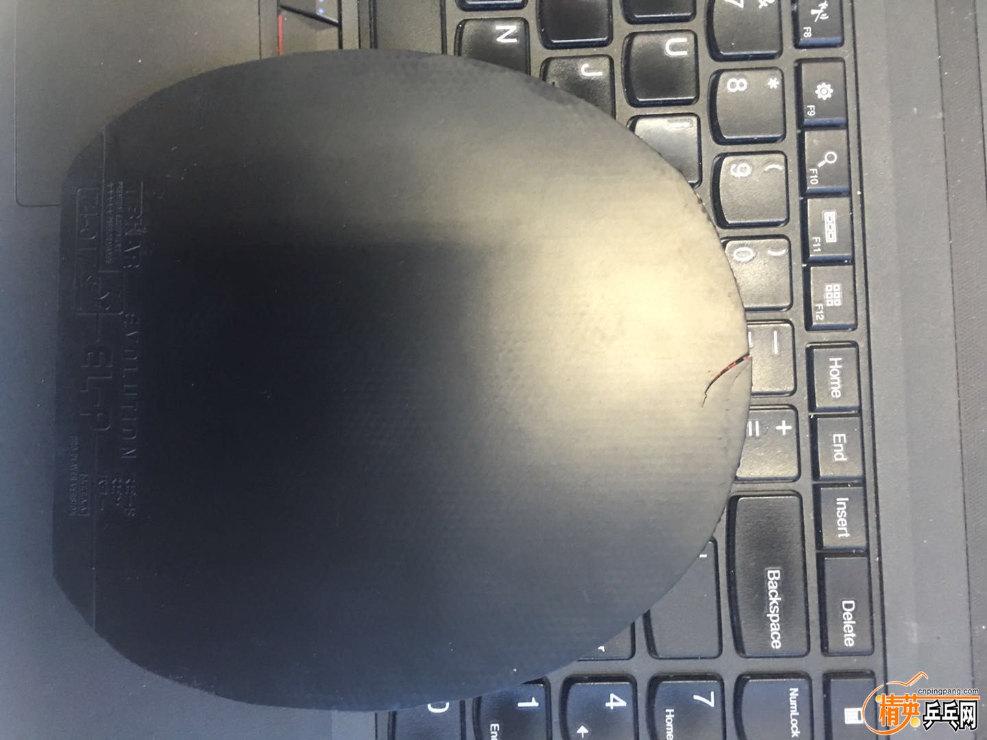 ELP��ɫ ����3.jpg